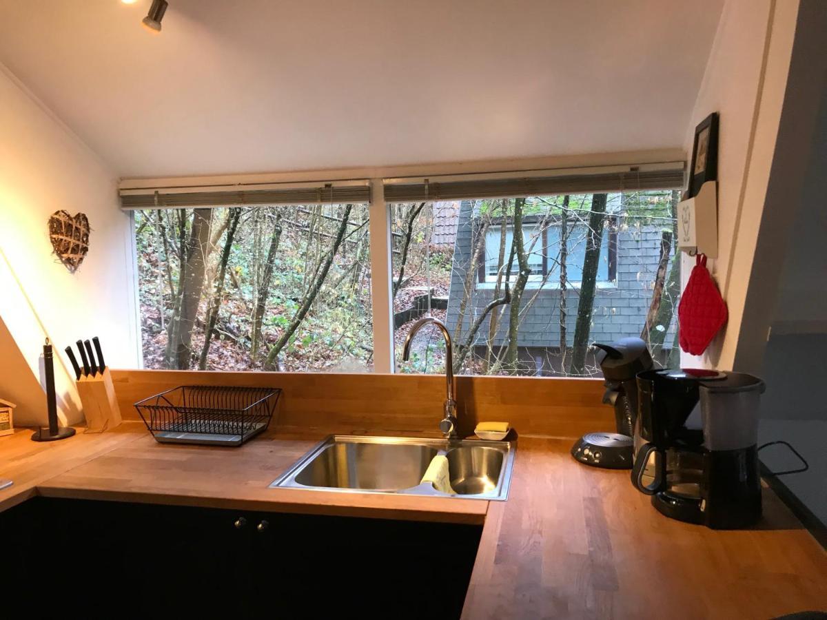 Heavenly Renovated Cabin Near Pittoresque Durbuy - Whistler Exterior foto